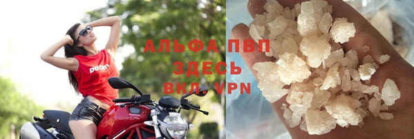 индика Пересвет