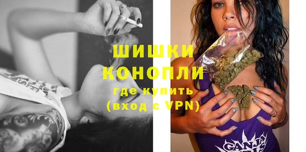 PSILOCYBIN Аркадак
